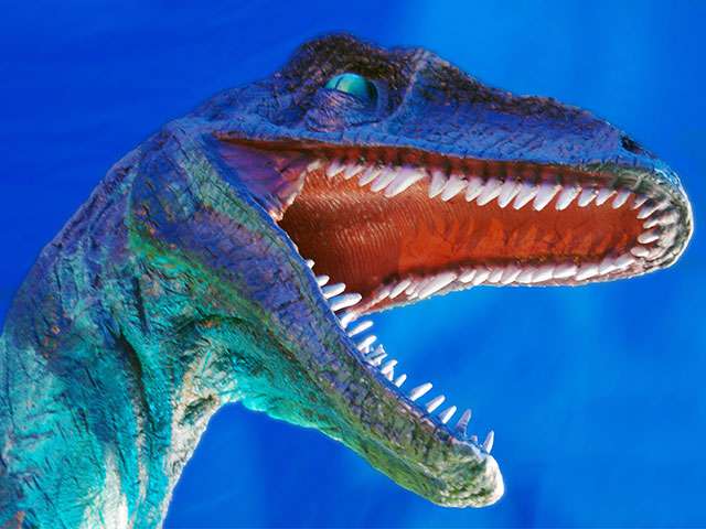 Dinosaurier - Im Reich der Urzeit