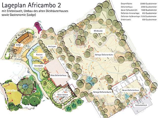 Africambo II