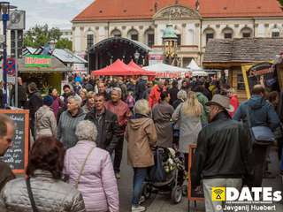 Rathausfest