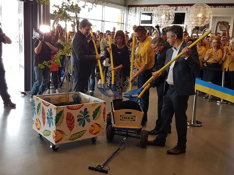 IKEA-Chefs pflanzen Baum