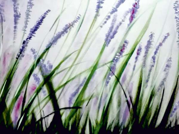 Lavendel von Beatrix Reckenbeil