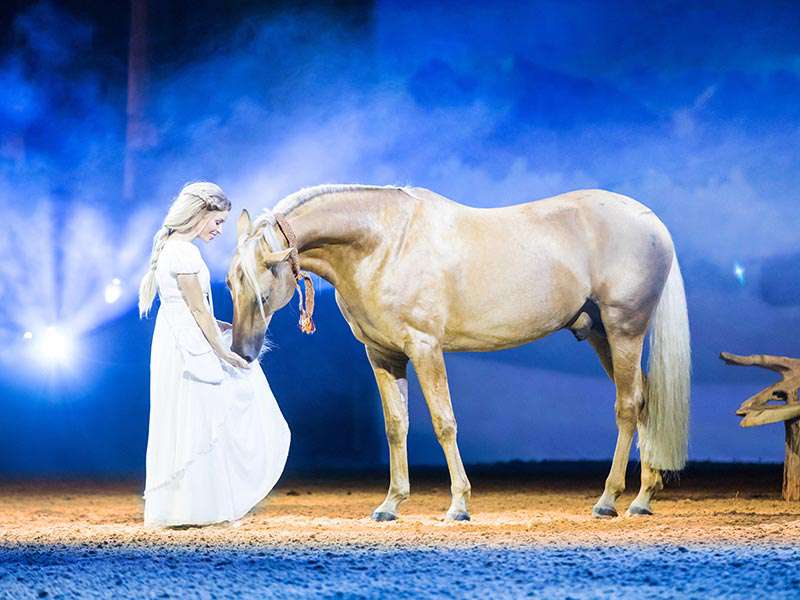 Apassionata - Gefährten des Lichts - Familienshow mit Pferden