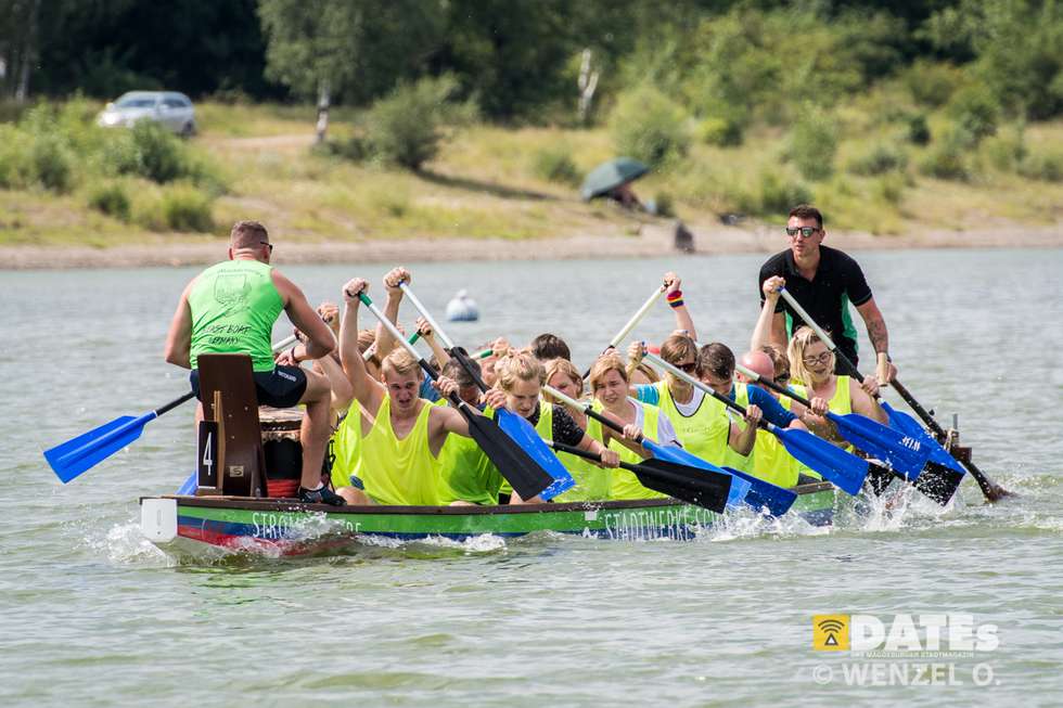 Magdeburger Drachenbootfestival – Salbker See