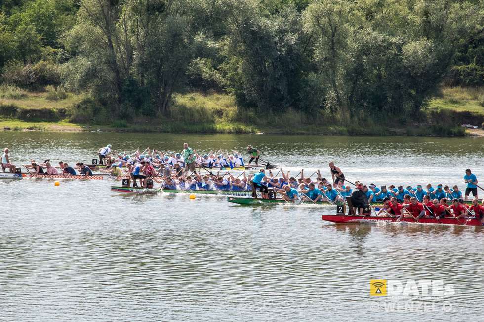 Magdeburger Drachenbootfestival – Salbker See