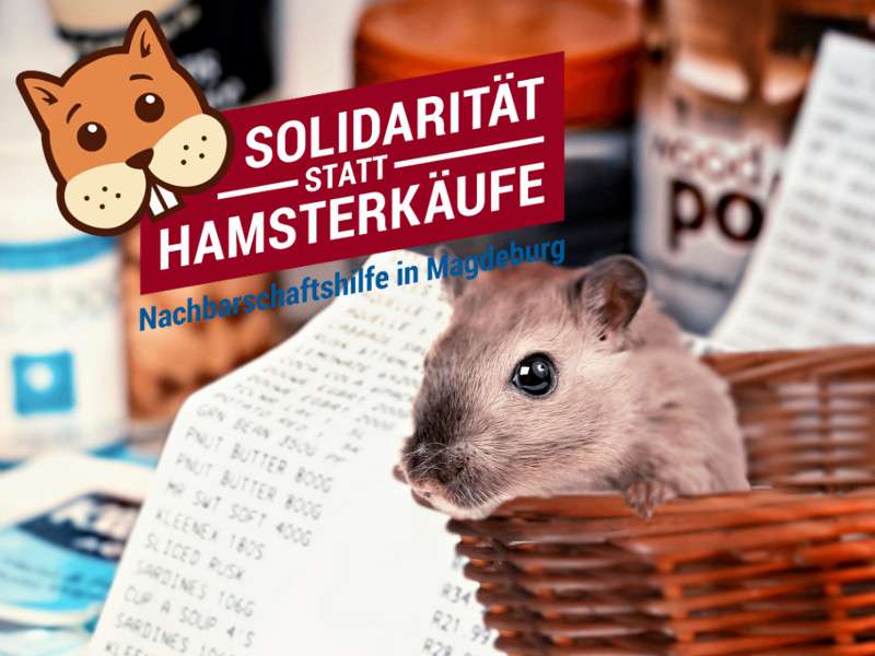 Solidarität statt Hamsterkäufe