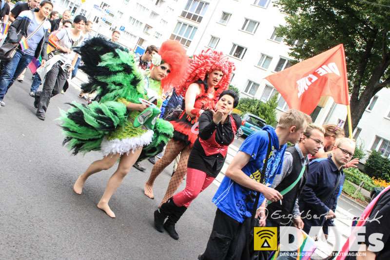 CSD_Parade_2014_Dudek-0173.jpg