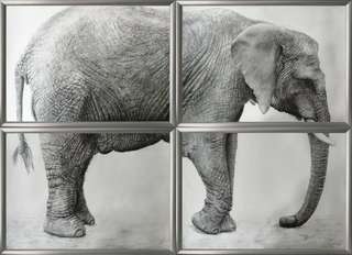 Gert Fuchs - Elefant vierteilige Kohlestiftzeichnung in 100x140 cm aus 2023.jpg